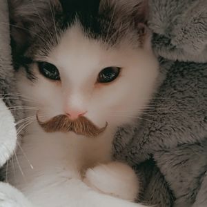 Meet your Posher, Alanna